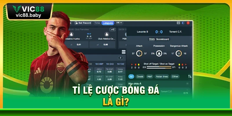 Giải Thích Tỉ Lệ Cược Bóng Đá – Hướng Dẫn Cơ Bản Cho Người Mới